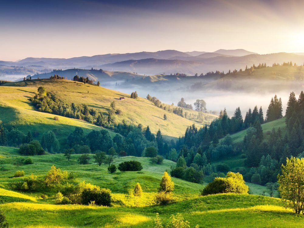 Nature-landscape-sunrise-hills-trees-grass-fog_2560x1440